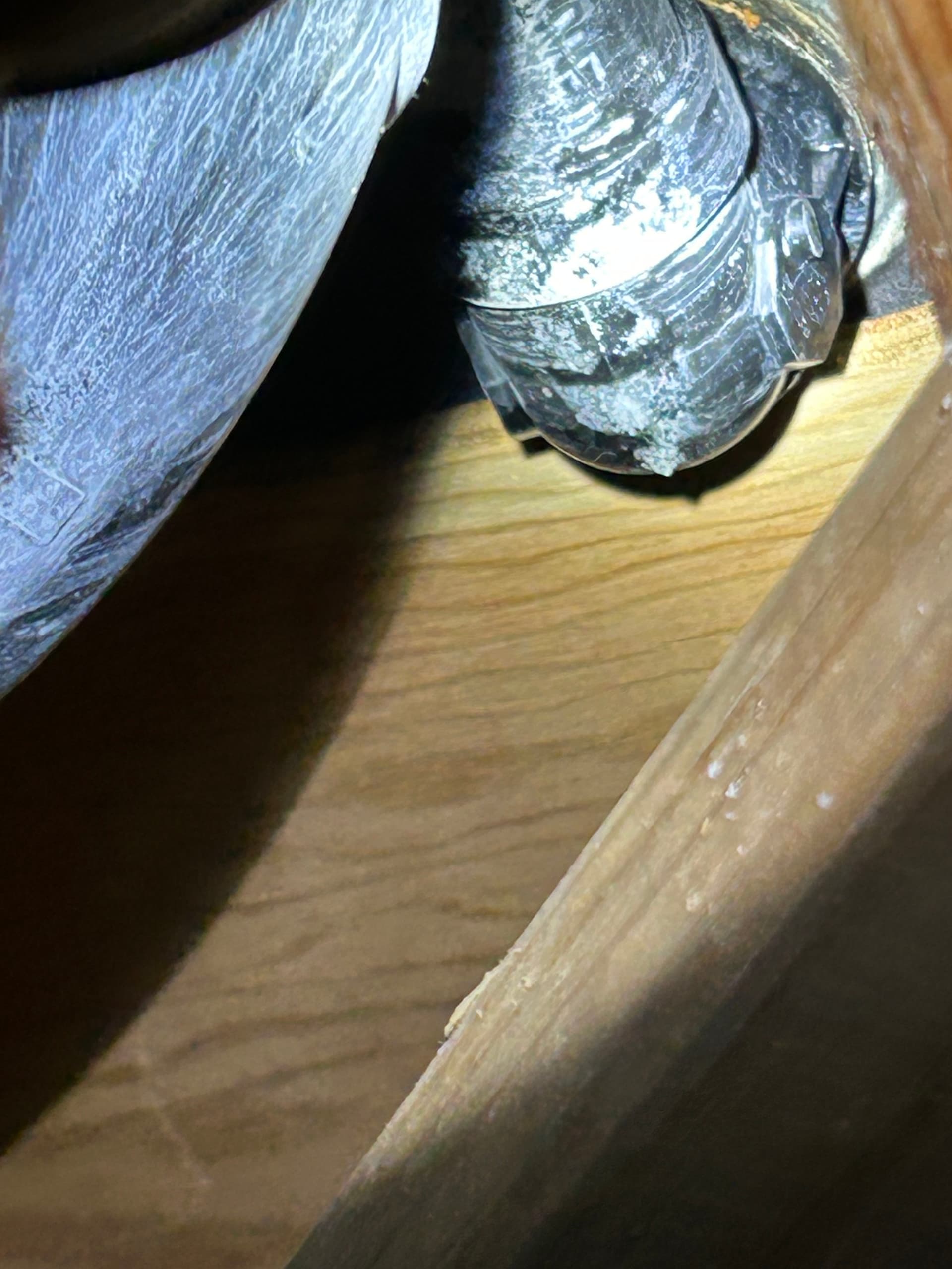 Gallery photos for Water Pouring Through the Ceiling - Here's How We Fixed It: Image #3