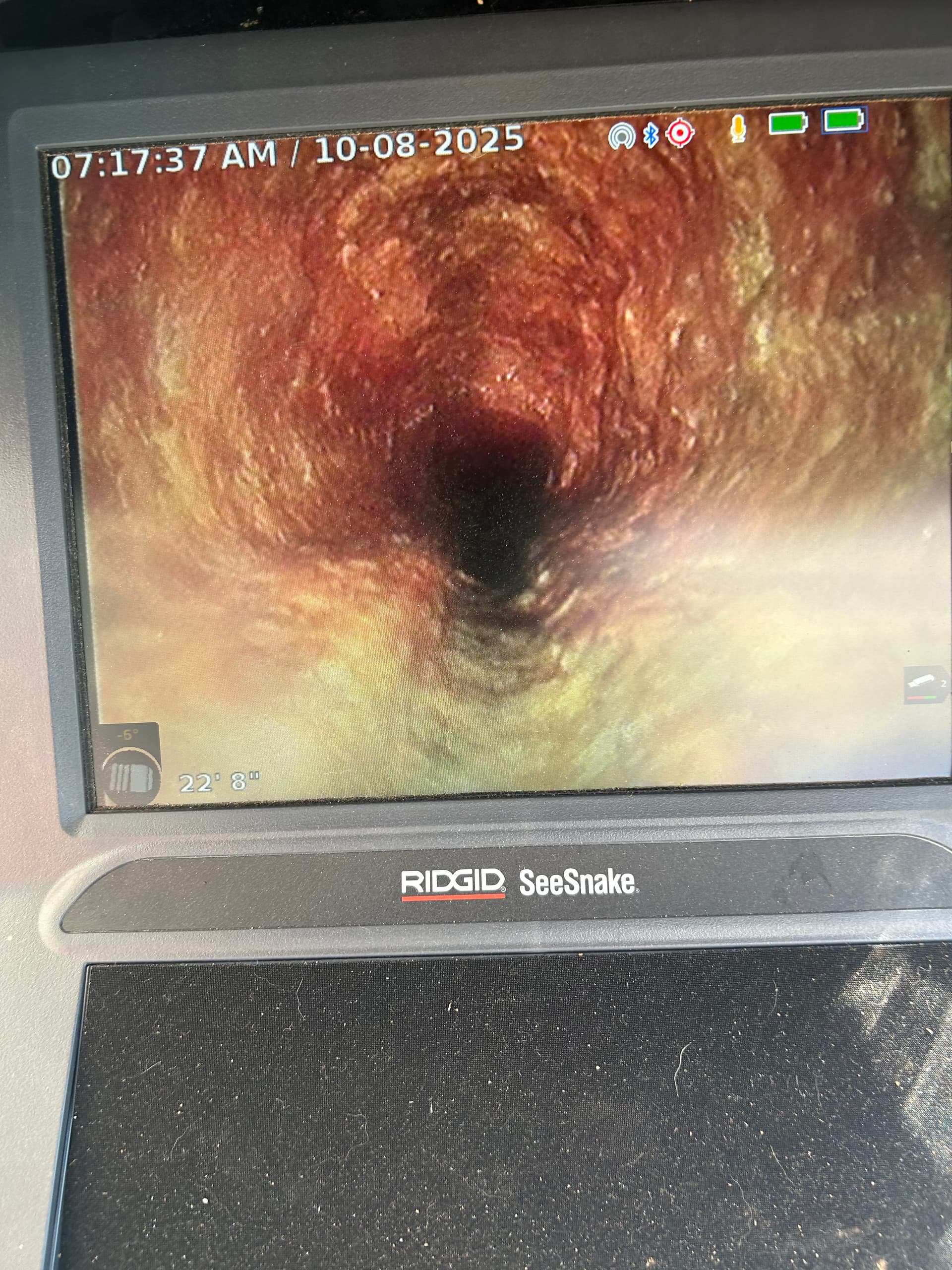 Gallery photos for What's Really Living Inside Your Sewer Pipes: Image #1