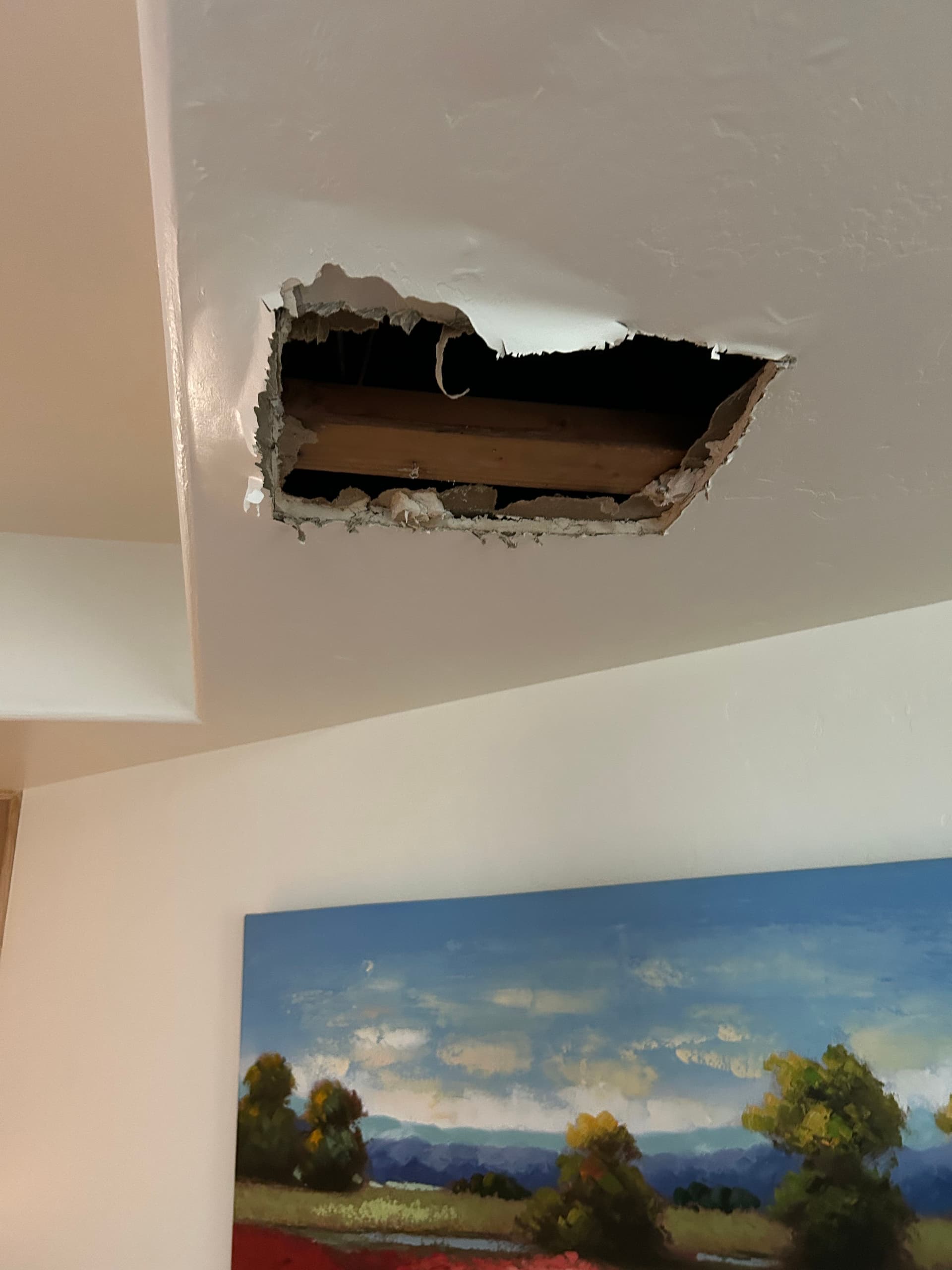 Water Pouring Through the Ceiling - Here's How We Fixed It image