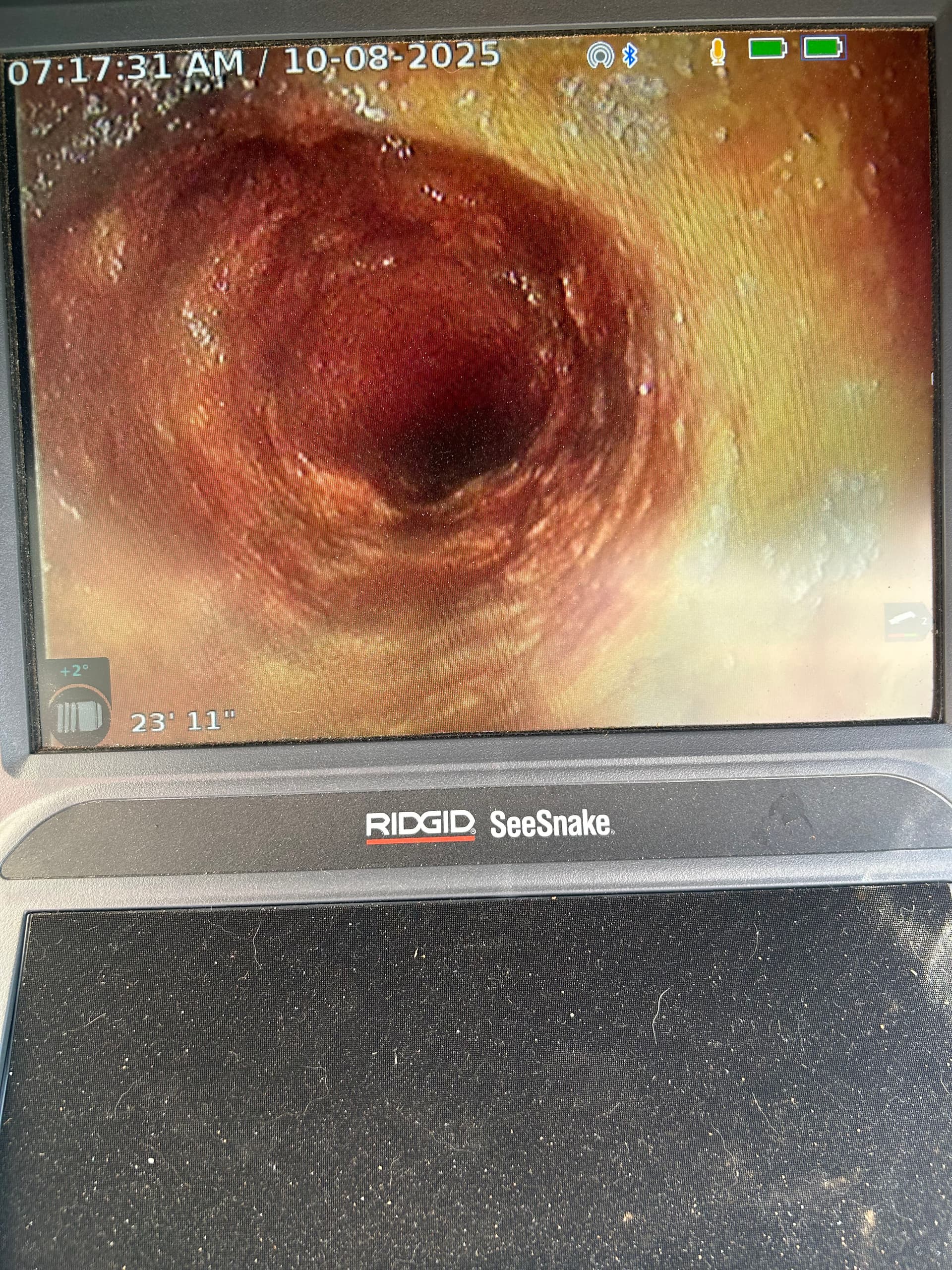 Gallery photos for What's Really Living Inside Your Sewer Pipes: Image #2