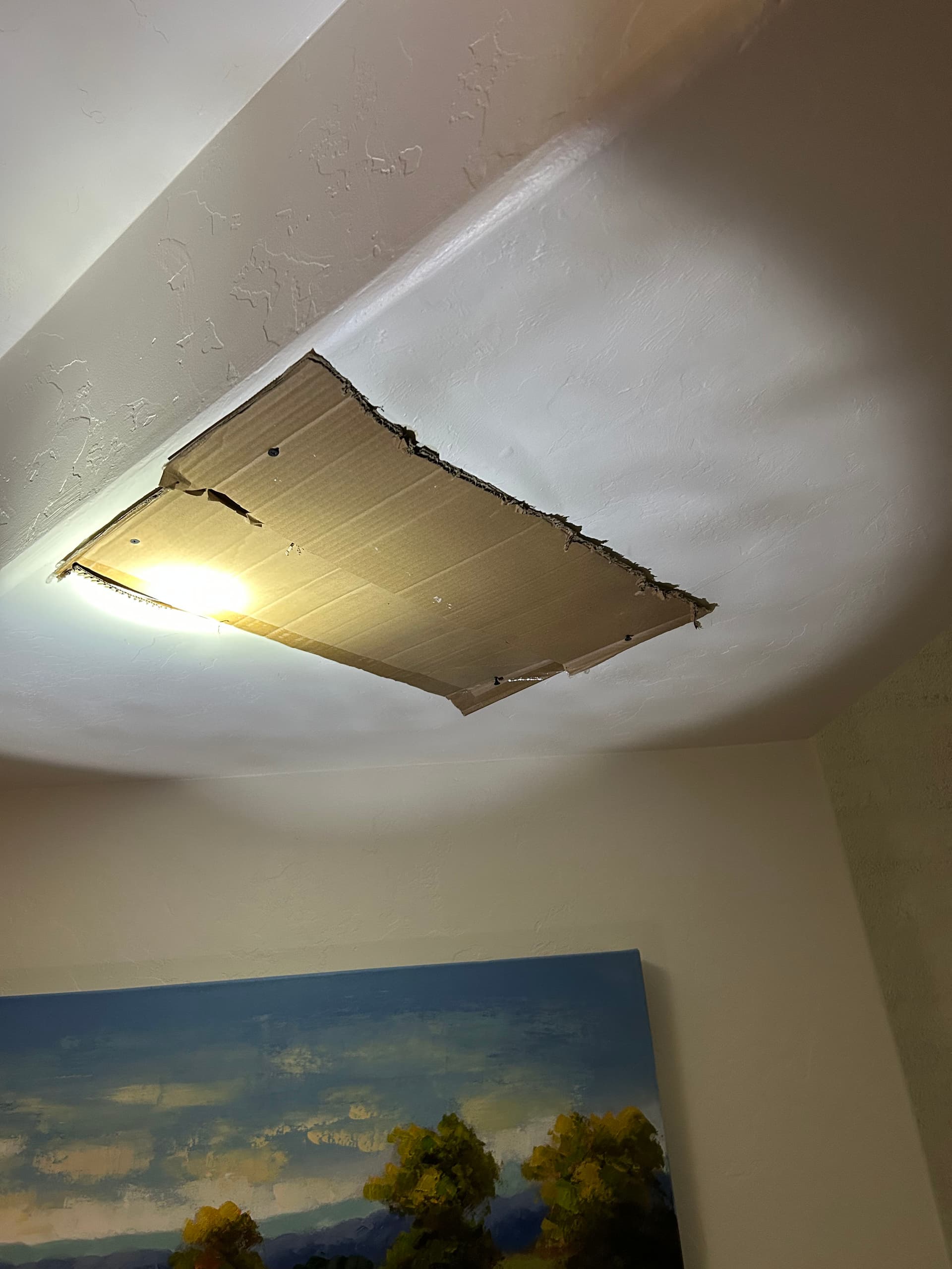 Gallery photos for Water Pouring Through the Ceiling - Here's How We Fixed It: Image #5